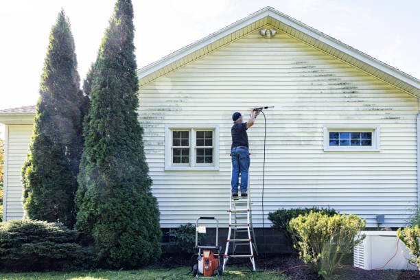 Best Building Exterior Washing  in Maybrook, NY